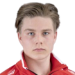 V. Jurvanen