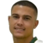 Vinicius Baracioli