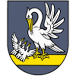Slovan Brvnište logo