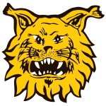 Ilves IV logo