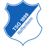 1899 Hoffenheim W logo
