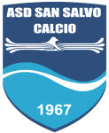 Salvo logo