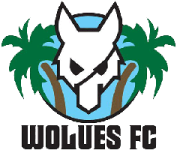 Wolues FC logo