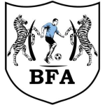 Black Lions logo