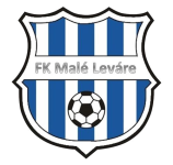 Male Levare logo
