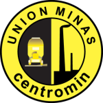 Minas logo