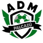 AD Municipal Palcazú logo