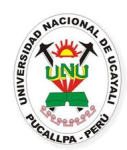Atlético Nacional de Pucallpa logo