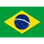 Team Brazil logo