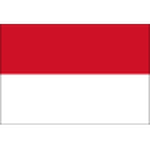 Team Indonesia logo
