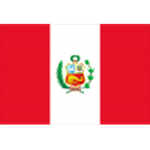 Team Peru logo