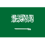 Team Saudi Arabia logo