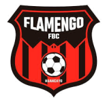 Flamengo FBC W logo