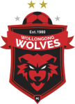 Wollongong Wolves U20 logo