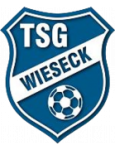 Wieseck U19 logo