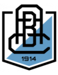 Branik logo