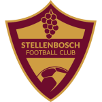 Stellenbosch W logo