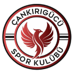 Cankirigucu logo