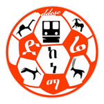 Dire Dawa Kenema logo